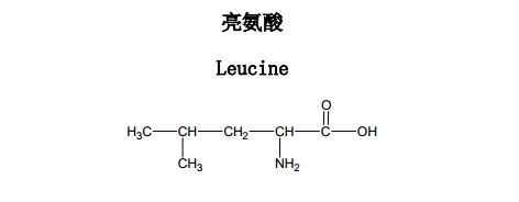 亮氨酸中藥化學(xué)對(duì)照品分子結(jié)構(gòu)圖