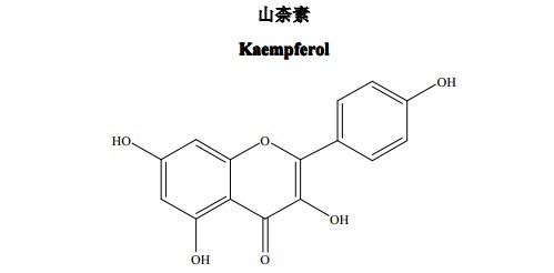 山柰素（山柰酚）中藥化學對照品分子結構圖