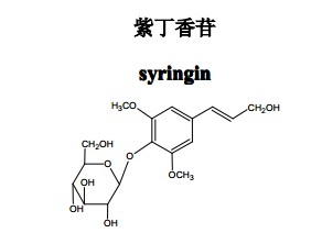 紫丁香苷中藥化學(xué)對照品中藥化學(xué)對照品