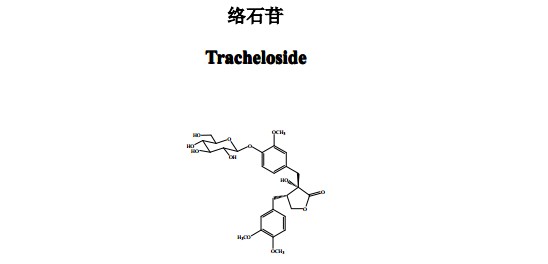 絡(luò)石苷(Tracheloside)中藥化學(xué)對照品