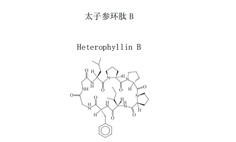 太子參環肽 B（HeterophyllinB）中藥化學對照品