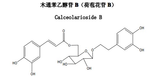 木通苯乙醇苷B（荷苞花苷B）中藥化學對照品