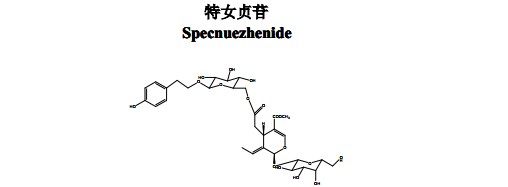 特女貞苷中藥化學(xué)對(duì)照品