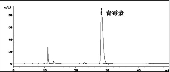 青霉素系統(tǒng)適用性對(duì)照品