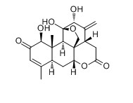 臭椿酮對(duì)照品標(biāo)準(zhǔn)品