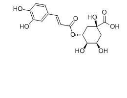 綠原酸對(duì)照品分子結(jié)構(gòu)圖
