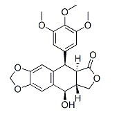 鬼臼毒素對(duì)照品