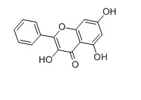 高良姜素對(duì)照品