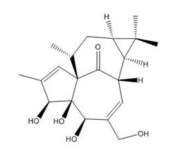 巨大戟醇對照品