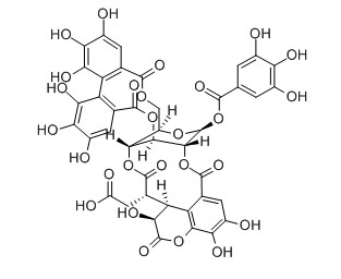 訶子鞣質(zhì)對(duì)照品分子結(jié)構(gòu)圖