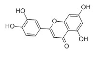 木犀草素對照品