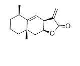 土木香內酯對照品