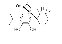 鼠尾草酚對照品