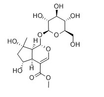 山梔苷甲酯對(duì)照品