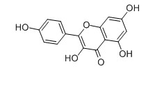 山奈酚對(duì)照品