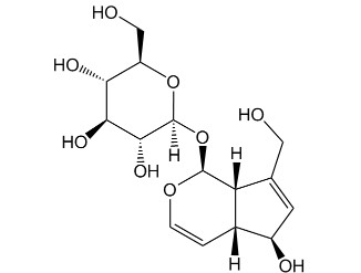 桃葉珊瑚苷對(duì)照品