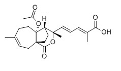 土荊皮甲酸對(duì)照品