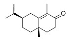 a-香附酮對照品
