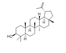 羽扇豆醇對照品