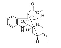 鴨腳樹葉堿對照品