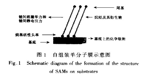 超分子化學(xué)的理論基礎(chǔ)及其功能