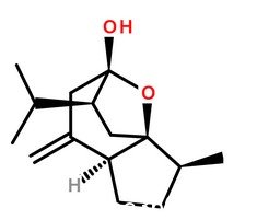 莪術醇分子結構圖