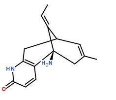 石杉?jí)A甲分子結(jié)構(gòu)圖