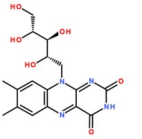 維生素B2分在結構圖