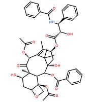 紫杉醇分子結構圖