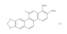 白屈菜紅堿對(duì)照品