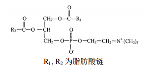 大豆磷脂酰膽堿對(duì)照品