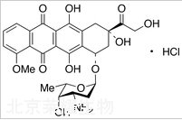 鹽酸多柔比星標準品