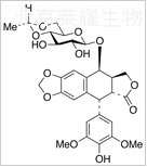 依托泊苷標(biāo)準(zhǔn)品