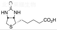 生物素標準品
