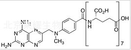 Methotrexate Heptaglutamate