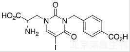 UBP 301