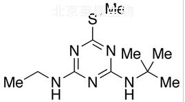 特丁凈標準品