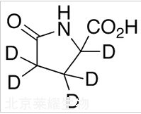 5-氧代-DL-脯氨酸-d5標準品