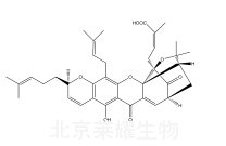 藤黃酸對照品