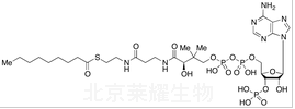 壬酰輔酶A標準品