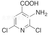 3-氨基-2,6-二氯異煙酸標準品