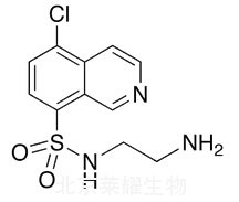 N-（2-氨乙基）-5-氯異喹啉-8-磺酰胺標準品