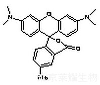 5-Aminotetramethyl Rhodamine標準品