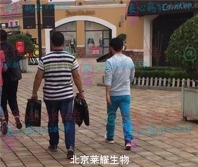 網友偶遇王寶強上街