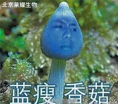 藍(lán)瘦香菇是什么意思