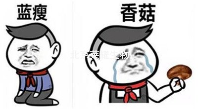 藍(lán)瘦香菇是什么意思