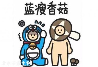 藍(lán)瘦香菇是什么意思