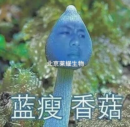 藍(lán)瘦香菇被搶注冊