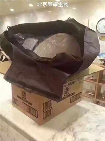 游客拿酒店馬桶蓋