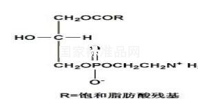 溶血磷脂酰乙醇胺對(duì)照品